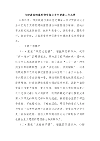 市财政局预算科党支部上半年党建工作总结