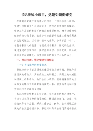 书记挂帅小项目，党建引领促蝶变