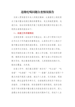 违规吃喝问题自查情况报告
