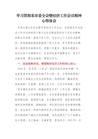 学习贯彻某市委全会暨经济工作会议精神心得体会