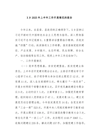 X乡2025年上半年工作开展情况的报告