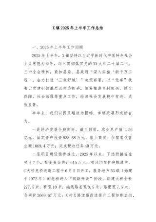 X镇2025年上半年工作总结
