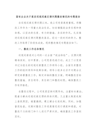 国有企业关于落实巡视巡察反馈问题整改情况的专题报告