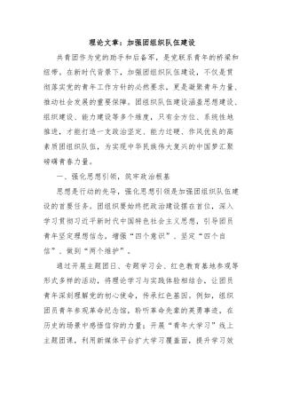 理论文章：加强团组织队伍建设