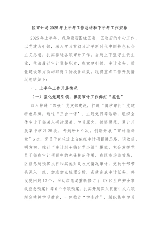区审计局2025年上半年工作总结和下半年工作安排