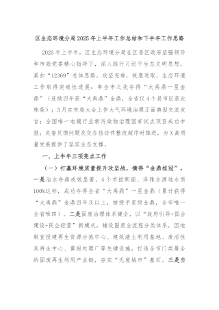 区生态环境分局2025年上半年工作总结和下半年工作思路