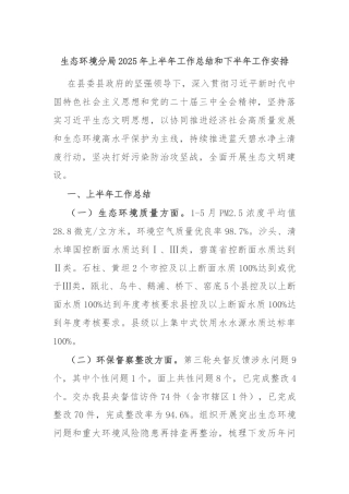 生态环境分局2025年上半年工作总结和下半年工作安排