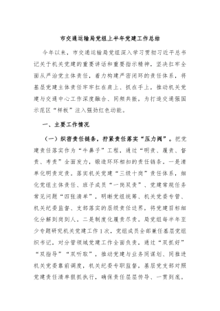 市交通运输局党组上半年党建工作总结