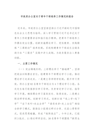 市政府办公室关于青年干部培养工作情况的报告