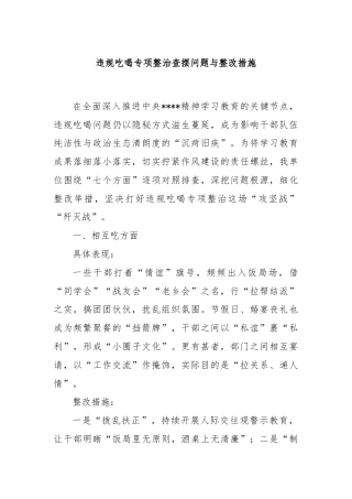 违规吃喝专项整治查摆问题与整改措施