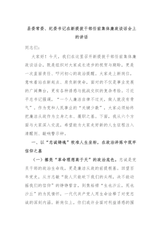 县委常委、纪委书记在新提拔干部任前集体廉政谈话会上的讲话