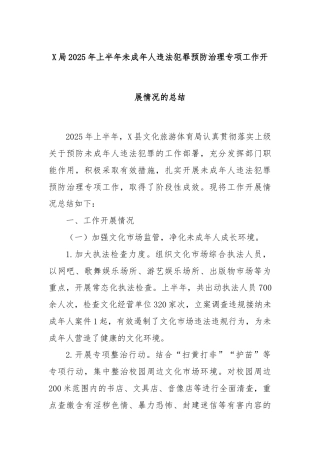 X局2025年上半年未成年人违法犯罪预防治理专项工作开展情况的总结