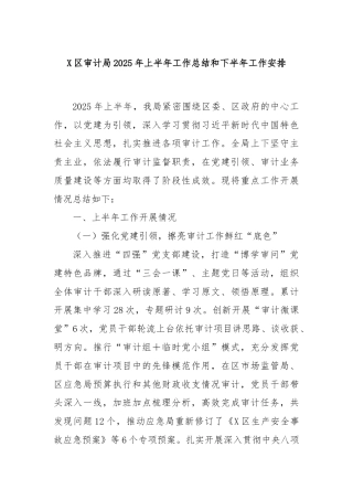 X区审计局2025年上半年工作总结和下半年工作安排
