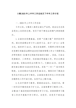 X镇2025年上半年工作总结及下半年工作计划
