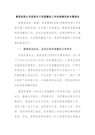 集团有限公司党委关于巡视整改工作进展情况的专题报告