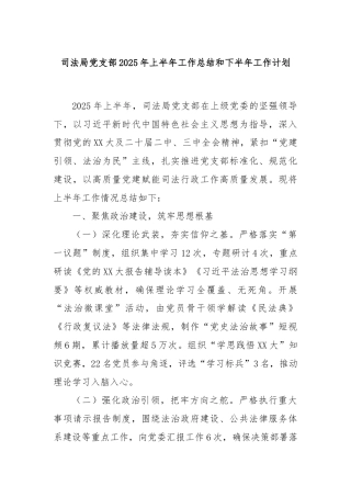 司法局党支部2025年上半年工作总结和下半年工作计划