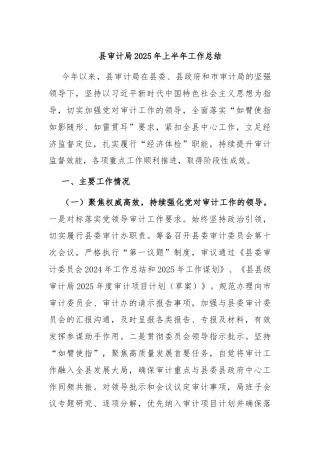 县审计局2025年上半年工作总结