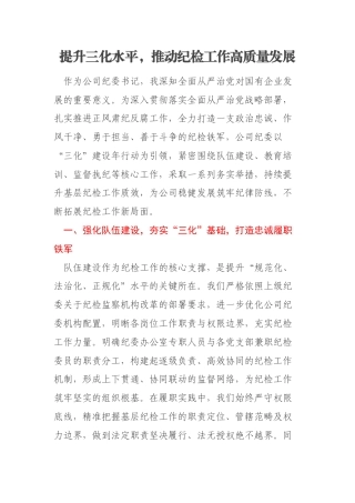 提升三化水平，推动纪检工作高质量发展