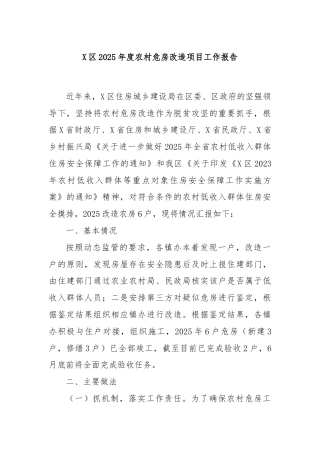 X区2025年度农村危房改造项目工作报告