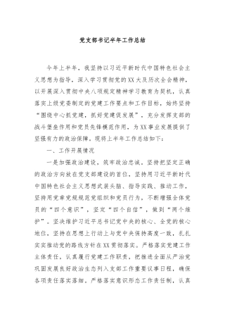 党支部书记半年工作总结