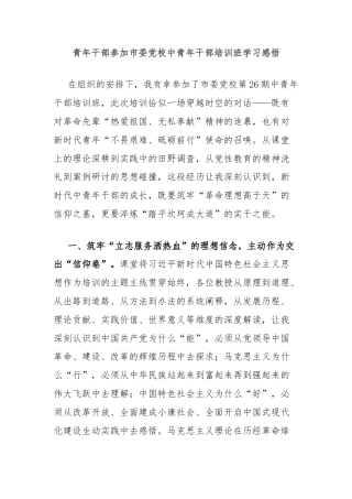 青年干部参加市委党校中青年干部培训班学习感悟