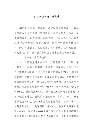 乡2025上半年工作总结