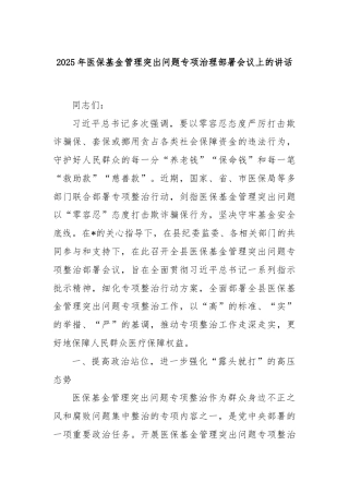 2025年医保基金管理突出问题专项治理部署会议上的讲话