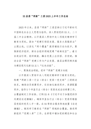 XX县委“两新”工委2025上半年工作总结
