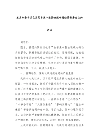 某某市委书记在某某市集中整治违规吃喝动员部署会上的讲话