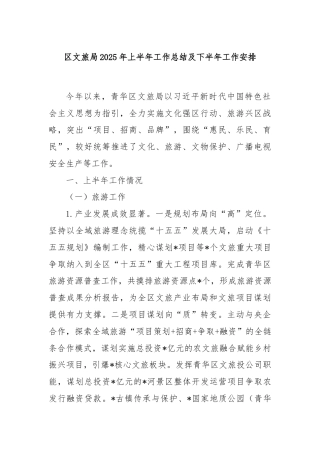 区文旅局2025年上半年工作总结及下半年工作安排