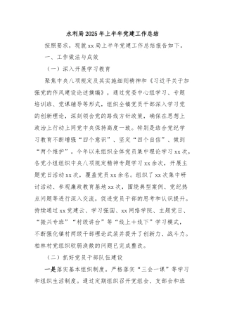 水利局2025年上半年党建工作总结