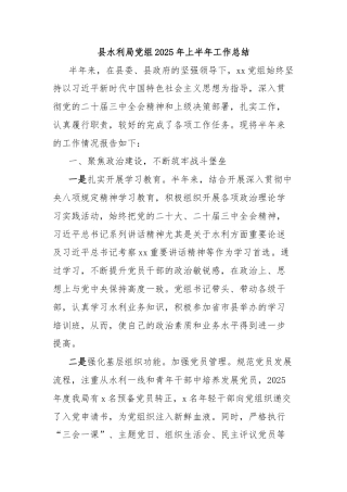 县水利局党组2025年上半年工作总结
