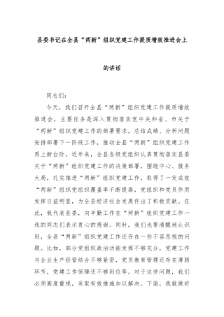 县委书记在全县“两新”组织党建工作提质增效推进会上的讲话