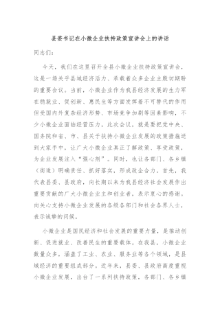 县委书记在小微企业扶持政策宣讲会上的讲话