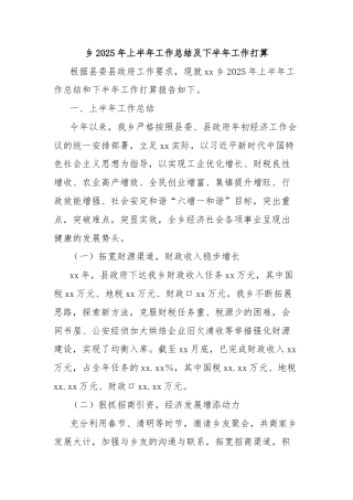 乡2025年上半年工作总结及下半年工作打算