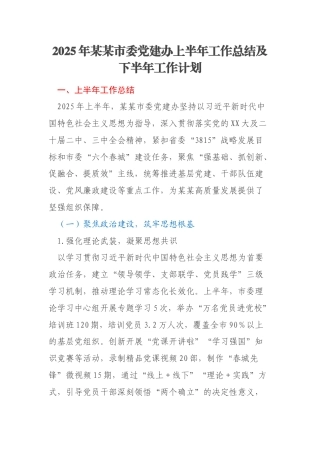 2025年某某市委党建办上半年工作总结及下半年工作计划