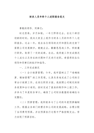 财务人员年终个人述职报告范文