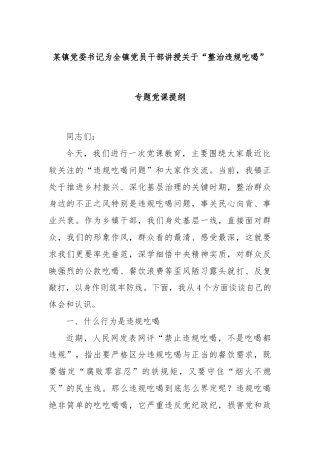 某镇党委书记为全镇党员干部讲授关于“整治违规吃喝”专题党课提纲