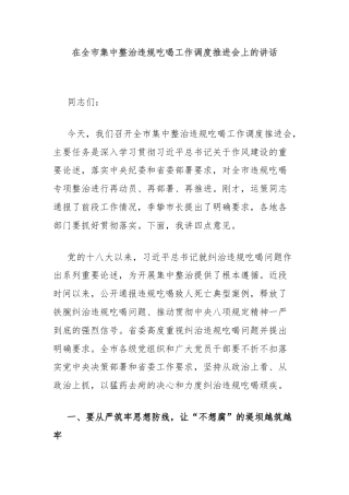 在全市集中整治违规吃喝工作调度推进会上的讲话