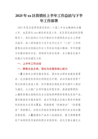 2025年xx区供销社上半年工作总结与下半年工作部署