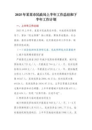 2025年某某市民政局上半年工作总结和下半年工作计划