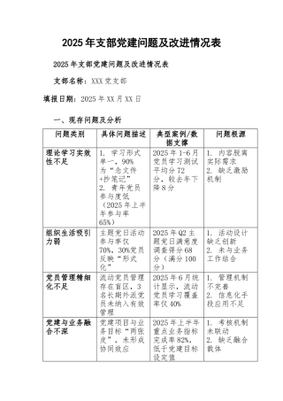 2025年支部党建问题及改进情况表
