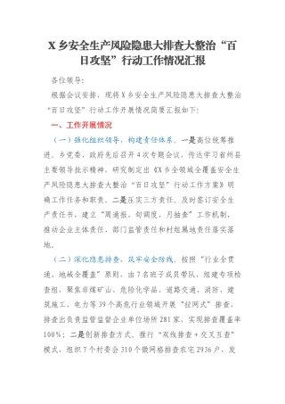 X乡安全生产风险隐患大排查大整治“百日攻坚”行动工作情况汇报