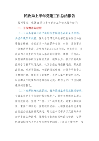 民政局上半年党建工作总结报告