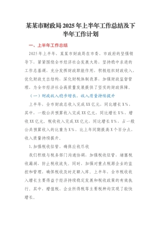 某某市财政局2025年上半年工作总结及下半年工作计划