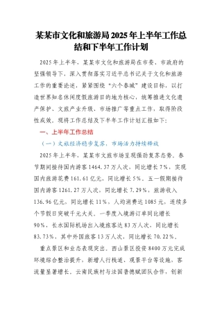某某市文化和旅游局2025年上半年工作总结和下半年工作计划