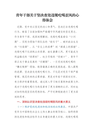 青年干部关于坚决查处违规吃喝歪风的心得体会