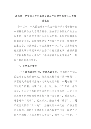 法院第一党支部上半年落实全面从严治党主体责任工作情况报告