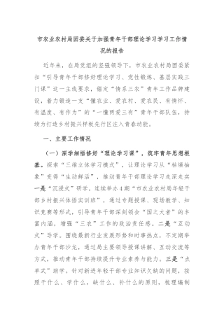 市农业农村局团委关于加强青年干部理论学习学习工作情况的报告