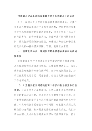 市委副书记在全市环保督察自查自纠部署会上的讲话
